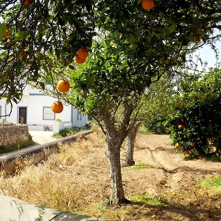 Сasa de vacaciones Casas Do Pomar Lagos